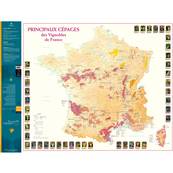 Carte des Principaux Cépages des Vignobles de France pliée