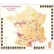 Carte des Principaux Cpages des Vignobles de France
