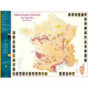 Carte des Principaux Cpages des Vignobles de France plie