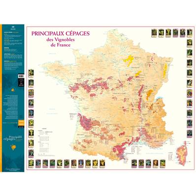 Carte des Principaux Cépages des Vignobles de France pliée