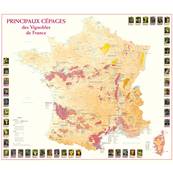 Carte de France des Vins et Eaux-de-Vie d'Appellation d'Origine - 88 x 88  cm, affiche roulée 