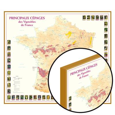 Carte des Principaux Cépages laminée